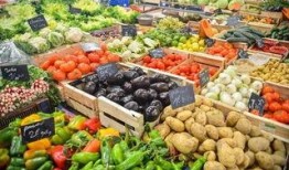 深圳菜市场爆料视频最新,探寻市井烟火气中的美食宝藏